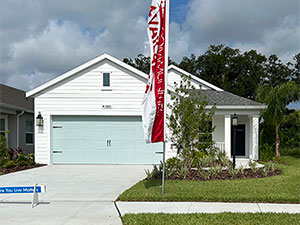 Woodmont Drive, Silverleaf Community, Parrish, Fl 34219